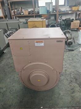 500KW無刷發(fā)電機(jī)