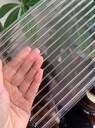 濰城陽光板廠家多層蜂窩板定制品質(zhì)，價格實惠