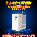 沧州国扬贯流式蒸汽发生器节能1吨燃气蒸汽锅炉环保节能免报检