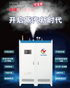 河北國(guó)揚(yáng)全自動(dòng)變頻電磁加熱蒸汽發(fā)生器優(yōu)勢(shì)及用途