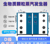 生物质颗粒蒸汽发生器商业工业节能全自动生物质锅炉国扬厂家