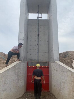 山南雙向止水鑄鐵閘門(mén)配帶手搖式啟閉機