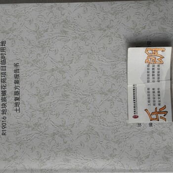 博爾塔拉做可行性分析報(bào)告/會(huì)做報(bào)告