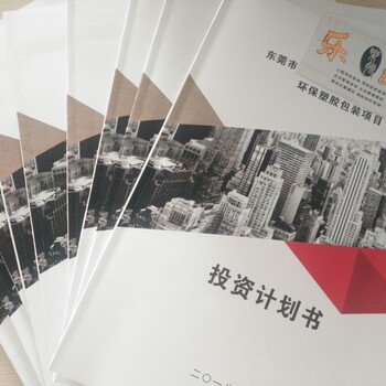 貴州項(xiàng)目商業(yè)計(jì)劃書范例/智能養(yǎng)老商業(yè)計(jì)劃書