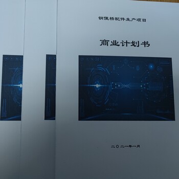 南充撰寫商業(yè)計劃書