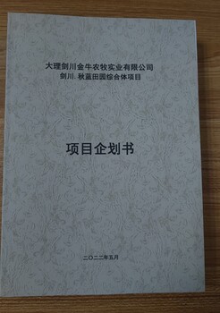 南通编写商业计划书的公司写的公司