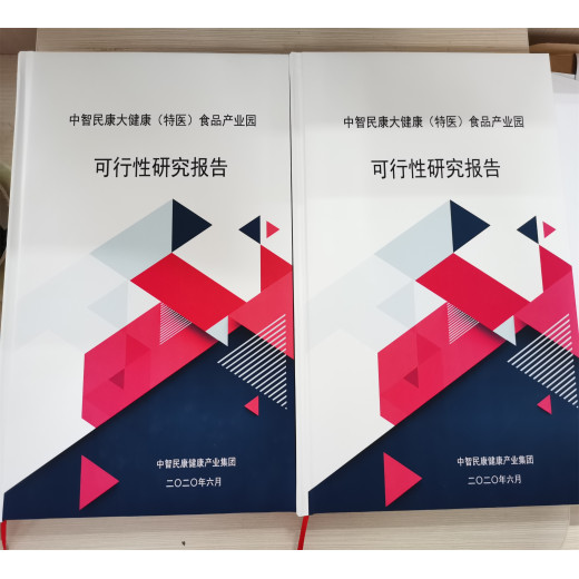 上海当地写可行性报告的正规公司