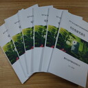 臨沂可以寫可行性報告公司-寫報告大綱