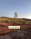 澳洲礦區(qū)高薪誠聘采礦工運(yùn)礦司機(jī)年薪80萬起包吃住合法務(wù)工下簽快
