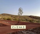 澳洲矿区高薪聘请河南郑州采矿工运矿司机包吃住合法工签图片