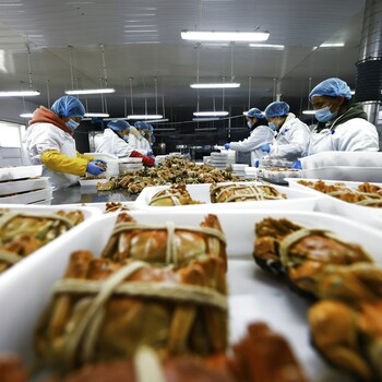 香港工廠找鄭州普工銷售員設備維護員廚師月薪2.2萬起帶薪年假