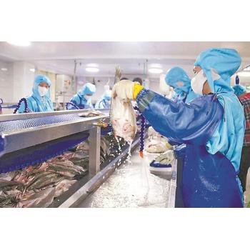 廣西貴港夫妻出國(guó)在澳大利亞食品廠包吃包住年薪85萬(wàn)