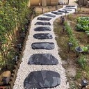 悅來會(huì)展中心附近草坪恢復(fù)仙桃街道綠化樹苗桂花樹鐵樹菖蒲麥麥冬