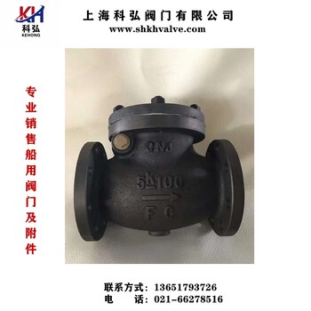 船用鑄鐵5K擺式止回閥日標鑄鐵單向閥JISF7372F7373