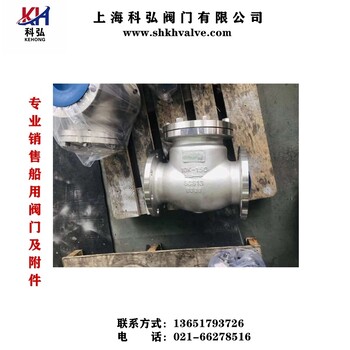 船用铸铁5K摆式止回阀日标铸铁单向阀JISF7372F7373