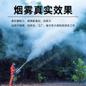 隆瑞TS-35A脈沖式熱力煙霧機(jī)手提式大功率農(nóng)業(yè)消殺彌霧機(jī)打藥機(jī)