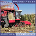 收割機定做橡膠半鏈軌接地面積大平穩(wěn)可靠