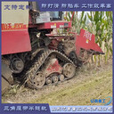 雨后泥濘地收割機作業(yè)打滑三角半鏈軌防止打滑