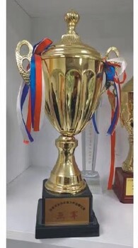 西安鍍金銅獎杯賽事表彰獎杯一個起訂當天到手