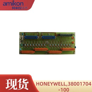 HONEYWELL霍尼韦尔51196694-928/U1模块卡件