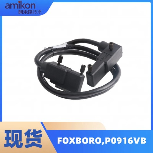 FOXBORO福克斯波罗-P0916VB控制器处理器模块