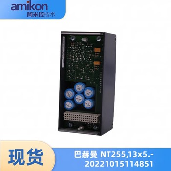 BS210巴赫曼控制器模塊