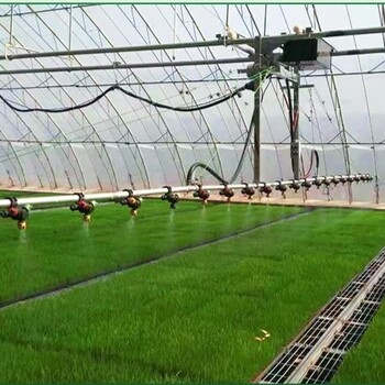 農(nóng)業(yè)連棟大棚種植育苗床網(wǎng)片溫室養(yǎng)殖苗床架子花卉移動苗床網(wǎng)苗