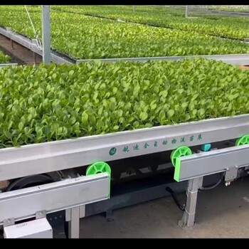 一體化機械機構與自動控制，推動智慧農(nóng)業(yè)發(fā)展的自動物流苗床