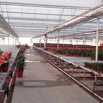 防腐耐磨移動苗床植物灌溉盆景栽培溫室育苗床