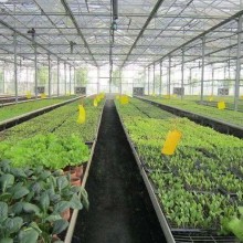 温室移动苗床温室大棚花卉养殖栽培丝网移动苗床温室种植