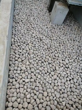綏化海倫市水處理鵝卵石米黃色鵝卵石圖片大全