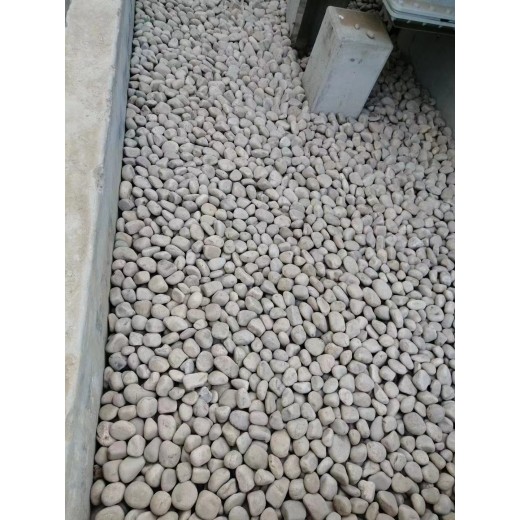 淄博桓台县5-8厘米变压器鹅卵石米黄色鹅卵石一吨价格