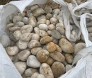 雅安石棉县水处理鹅卵石米黄色鹅卵石价格图片