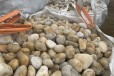 黔南山县米黄色鹅卵石变压器滤油池厂家批发供应