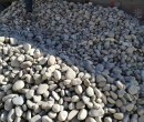 无锡新北区变压器鹅卵石米黄色鹅卵石生产供应商图片