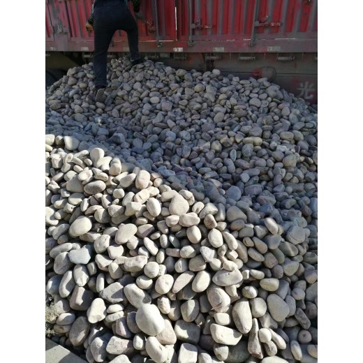 石家庄无极县5-8厘米变压器鹅卵石米黄色鹅卵石生产基地