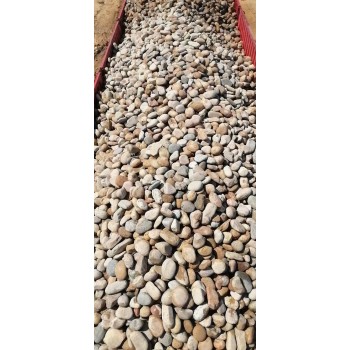 常德澧县5-8厘米变压器鹅卵石米黄色鹅卵石供应