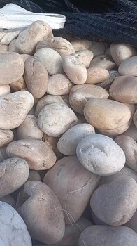 赤峰巴林左旗5-8厘米變壓器鵝卵石米黃色鵝卵石廠家品牌