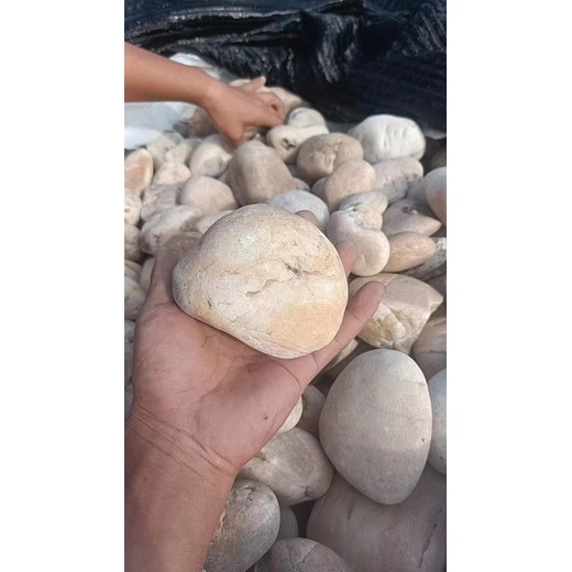 商丘睢陽區(qū)污水廠處理鵝卵石生產供應商