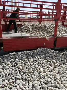 新鄉(xiāng)衛(wèi)輝市電廠鵝卵石米黃色鵝卵石價(jià)格