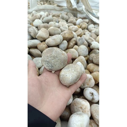 果洛班瑪縣水處理鵝卵石米黃色鵝卵石質(zhì)優(yōu)