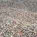 三沙鵝卵石5-8cm8-12cm變壓器鵝卵石變電站漏油防火雜色圓滑無棱角廠家批發