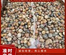 威海鹅卵石5-8厘米变压器鹅卵石图片大全图片