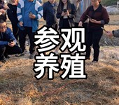 广西北流市广地龙蚯蚓养殖基地欢迎您