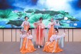 西安节目演出晚宴演出开场舞蹈舞龙舞狮节日庆典开工仪式