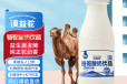 骆驼酸奶厂家工厂骆驼酸奶加工贴牌驼酸奶特产店直供