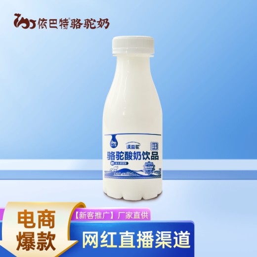 骆驼酸奶饮品供应驼酸奶贴牌代工液态驼酸奶驼奶定制依巴特