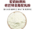 巴特乳业驼奶新工厂70%新地标配方驼乳粉驼奶粉原料批发