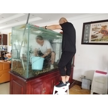 全廣州上門清洗魚缸清洗魚池