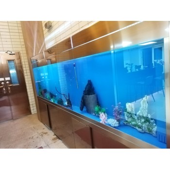 小李上門清洗魚缸
